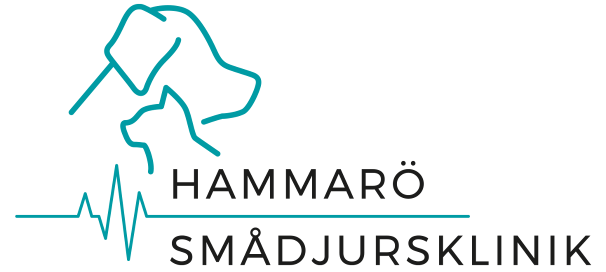 Hammarö Smådjursklinik
